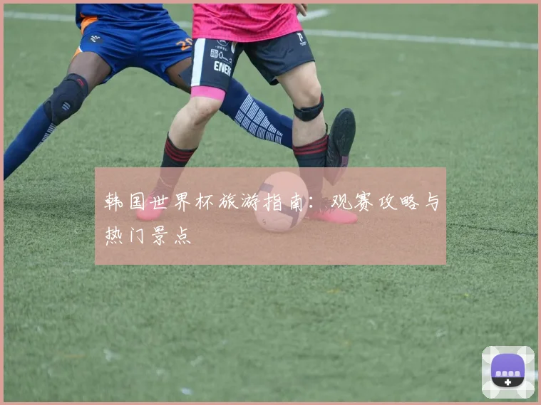 韩国世界杯旅游指南:观赛攻略与热门景点