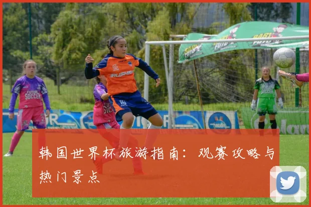 韩国世界杯旅游指南：观赛攻略与热门景点